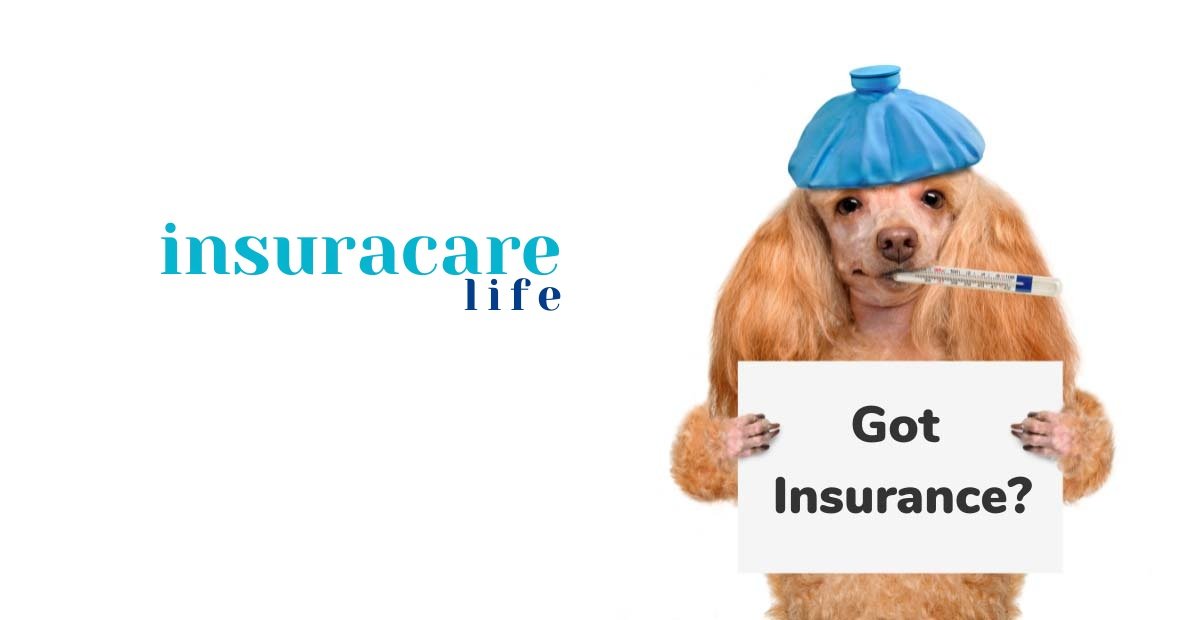 Pet Insurance Lifetime Cover: Ensuring Your Pet’s Health for Life