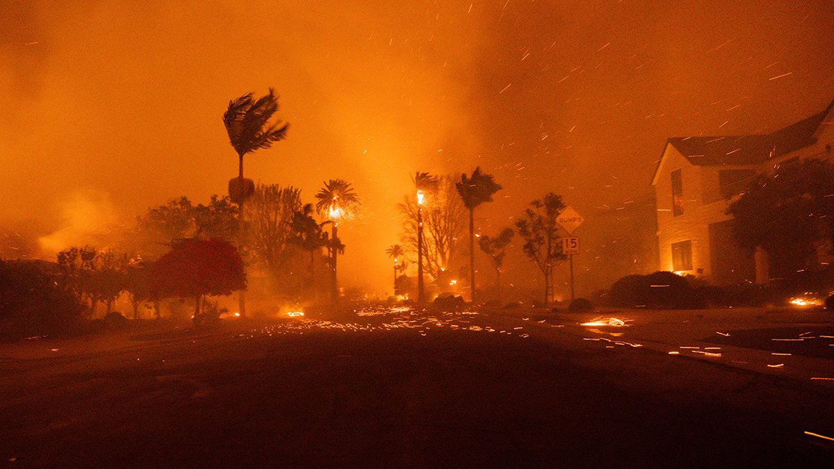 Wildfires expected to reverse reinsurance price decline, CEOs say :: Insurance Day