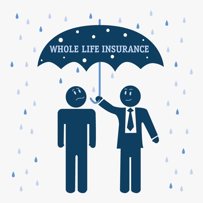 whole life insurance policy