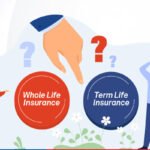 difference between term life insurance and whole life insurance